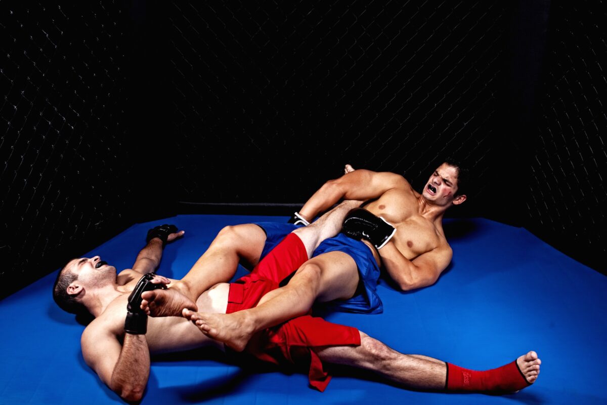 mixed martial arts ground control